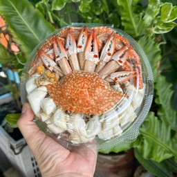 ปูม้านึ่งคูณ2 ไซต์M