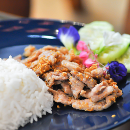 เนื้อทอดกระเทียมราดข้าว