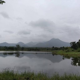 ขอบคุณรูปภาพจาก องค์การบริหารส่วนตำบลห้วยหิน