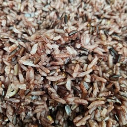 ข้าวไรซ์เบอรี่ผสมข้าวหอมมะลินุ่ม