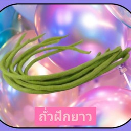 ถั่วฝักยาว (5เส้น)