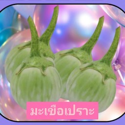 มะเขือเปราะ (4-5ลูก)