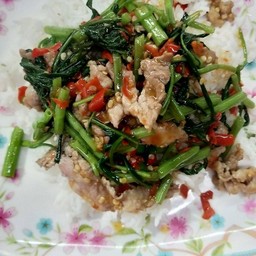 ผัดผักบุ้ง