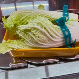 ผักกาดขาว