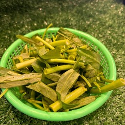 ผักบุ้ง