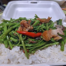ข้าวราดผัดผักบุ้งหมูกรอบ