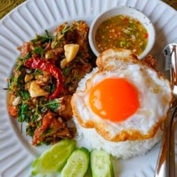 ข้าวกระเพราเป็ด(ราดข้าว)