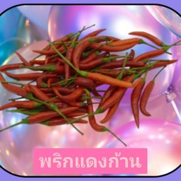 พริกแดงก้าน (1ขีดครึ่ง)