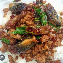 กระเพราไข่เยี่ยวม้าราดข้าว