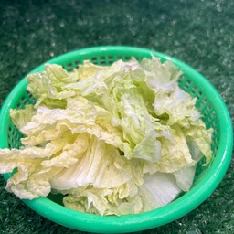 ผักกาดขาว