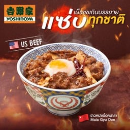 ข้าวหน้าเนื้อหม่าล่า