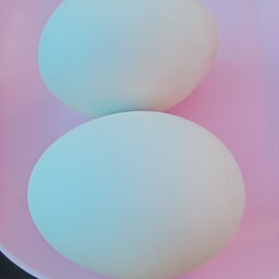 ไข่เค็ม1ฟอง