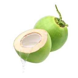 Cold Brew Coconut