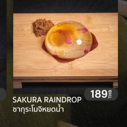 Sakura Raindrop 