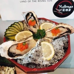 หอยนางรม ญี่ปุ่น