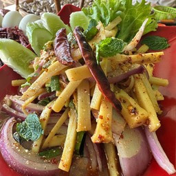 Bamboo Shoot Salad