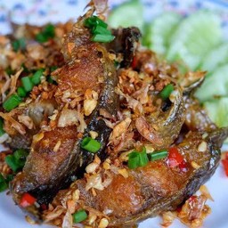 ปลาดุกทอดกรอบคั่วพริกเกลือราดข้าว