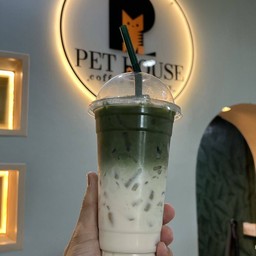 มัจฉะ เย็น