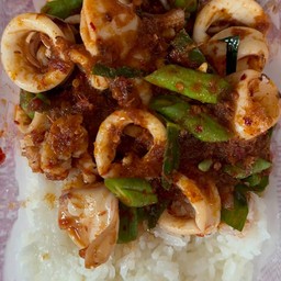 ผัดพริกแกงปลาหมึก