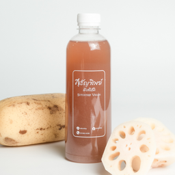 น้ำรากบัว