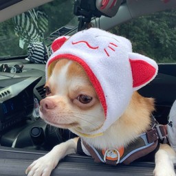 ทิปเด็กชายบ๊อบบี้