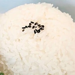 Jasmine rice