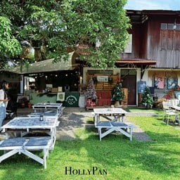 Coolcat lcecream Phuket