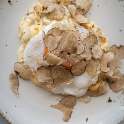 Homemade Pasta Truffle