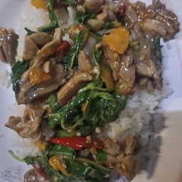 ข้าวกระเพราเป็ด