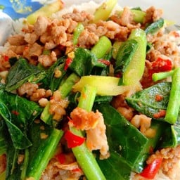 คะน้าหมูสับราดข้าว