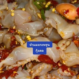 ยำแมงกะพรุน+กุ้งสด