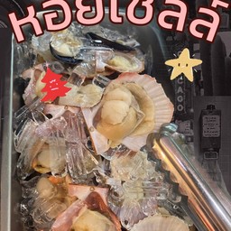 หอยเชลล์ 3 ตัว