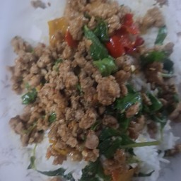 ข้าวกระเพราหมู