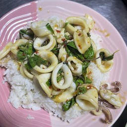 ผัดกระเพราปลาหมึกราดข้าว