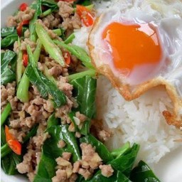 ข้าวราดคะน้าหมูสับ
