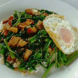 ผักบุ้งผัดพริกแกง