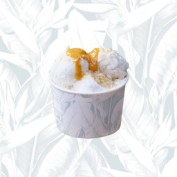 Coconut Icecream Salted Crumble