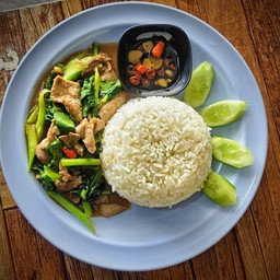 ข้าวราดคะน้าน้ำมันหอย