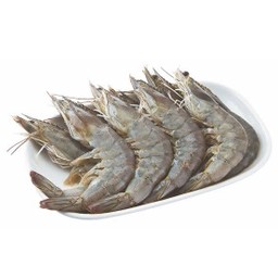 Shrimp