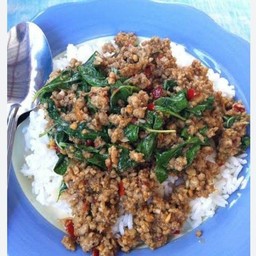 กะเพราหมูสับ