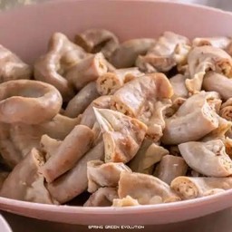 Intestines