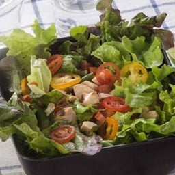 CHICKEN SALAD