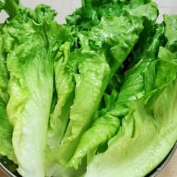 ผักกาดหอม-玻璃菜60g