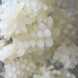 ปลาหมึกบั้ง-鱿鱼花60g