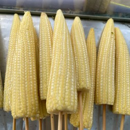 ข้าวโพดอ่อน