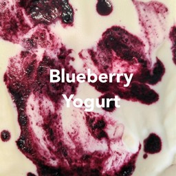 บลูเบอร์รี่โยเกิร์ต