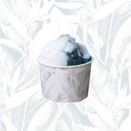 ไอศกรีมกะทิสาคูมะพร้าวอ่อน