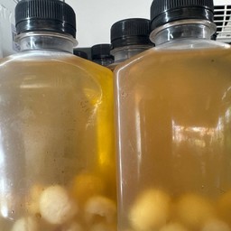 น้ำลำไย