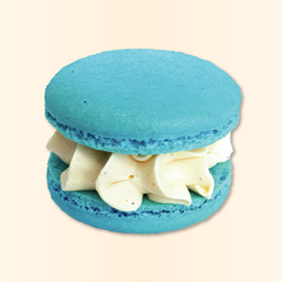 Salted Caramel Macaron
