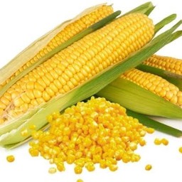 ข้าวโพดนมสดปั่น Smoothie booth